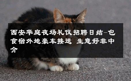 西安华庭夜场礼仪招聘日结-包食宿外地豪车接送 生意好非中介
