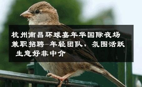 杭州南昌环球嘉年华国际夜场兼职招聘-年轻团队，氛围活跃 生意好非中介