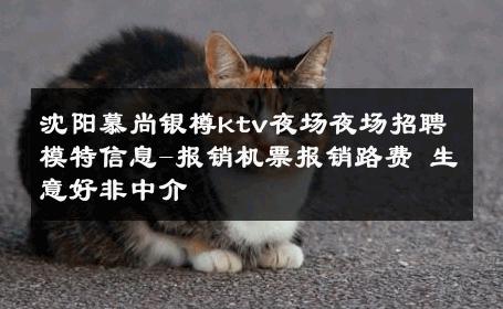 沈阳慕尚银樽ktv夜场夜场招聘模特信息-报销机票报销路费 生意好非中介