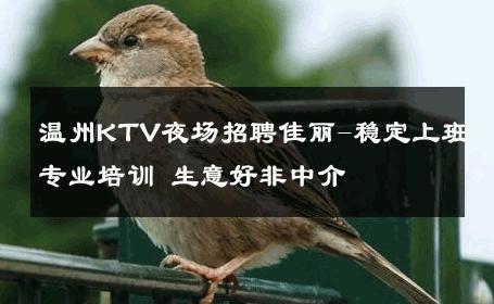 温州KTV夜场招聘佳丽-稳定上班专业培训 生意好非中介