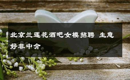 北京兰莲花酒吧女模招聘 生意好非中介