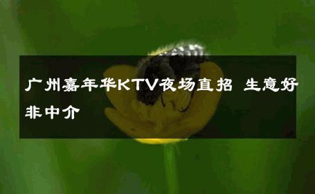 广州嘉年华KTV夜场直招 生意好非中介