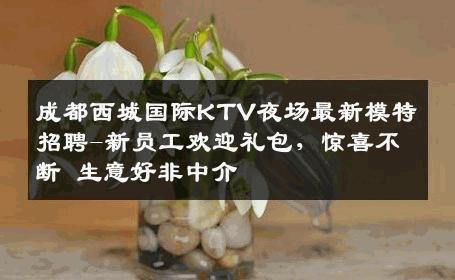 成都西城国际KTV夜场最新模特招聘-新员工欢迎礼包，惊喜不断 生意好非中介
