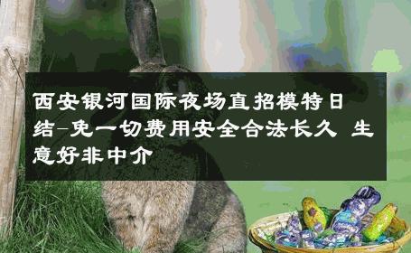 西安银河国际夜场直招模特日结-免一切费用安全合法长久 生意好非中介