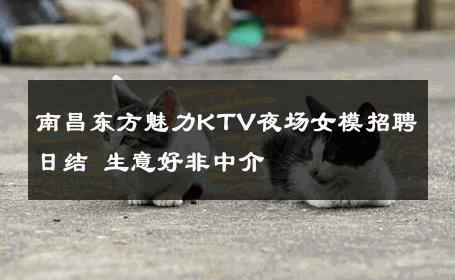 南昌东方魅力KTV夜场女模招聘日结 生意好非中介
