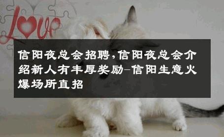 信阳夜总会招聘,信阳夜总会介绍新人有丰厚奖励-信阳生意火爆场所直招