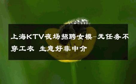 上海KTV夜场招聘女模-无任务不穿工衣 生意好非中介