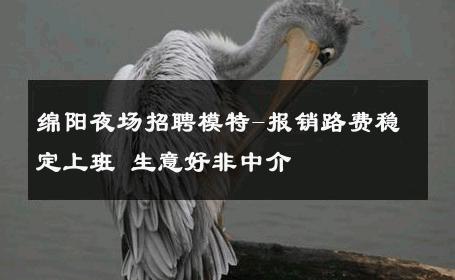 绵阳夜场招聘模特-报销路费稳定上班 生意好非中介