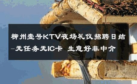 柳州壹号KTV夜场礼仪招聘日结-无任务无IC卡 生意好非中介