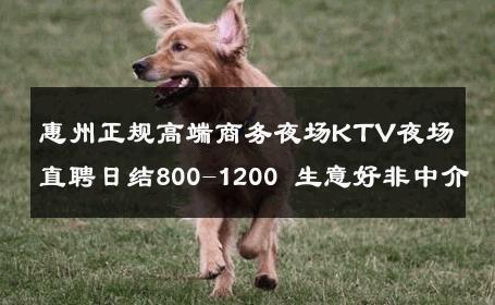 惠州正规高端商务夜场KTV夜场直聘日结800-1200 生意好非中介