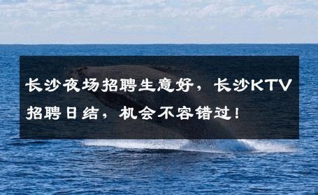 长沙夜场招聘生意好，长沙KTV招聘日结，机会不容错过！