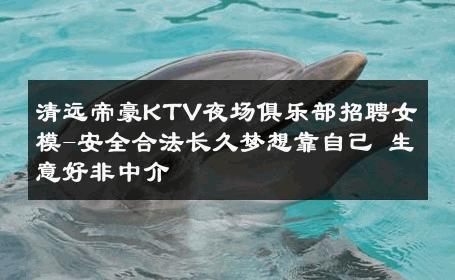 清远帝豪KTV夜场俱乐部招聘女模-安全合法长久梦想靠自己 生意好非中介