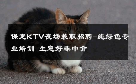 保定KTV夜场兼职招聘-纯绿色专业培训 生意好非中介