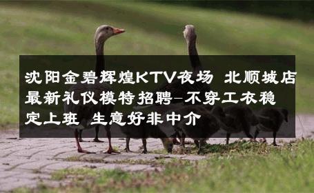 沈阳金碧辉煌KTV夜场 北顺城店最新礼仪模特招聘-不穿工衣稳定上班 生意好非中介