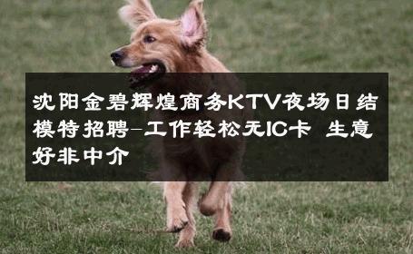 沈阳金碧辉煌商务KTV夜场日结模特招聘-工作轻松无IC卡 生意好非中介