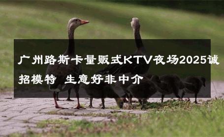 广州路斯卡量贩式KTV夜场2025诚招模特 生意好非中介