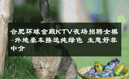 合肥环球金殿KTV夜场招聘女模-外地豪车接送纯绿色 生意好非中介