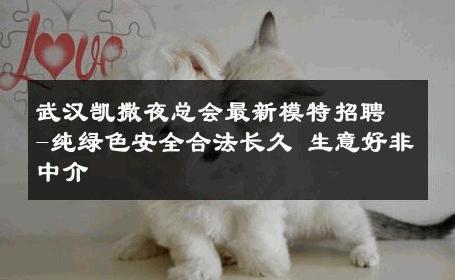 武汉凯撒夜总会最新模特招聘-纯绿色安全合法长久 生意好非中介