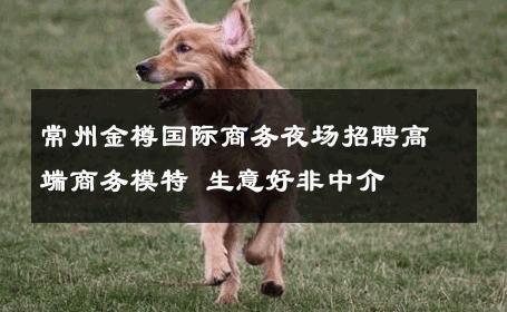 常州金樽国际商务夜场招聘高端商务模特 生意好非中介