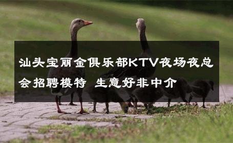 汕头宝丽金俱乐部KTV夜场夜总会招聘模特 生意好非中介
