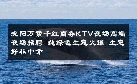 沈阳万紫千红商务KTV夜场高端夜场招聘-纯绿色生意火爆 生意好非中介