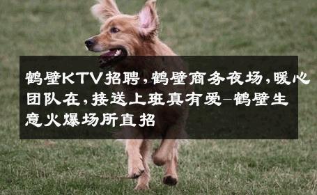 鹤壁KTV招聘,鹤壁商务夜场,暖心团队在,接送上班真有爱-鹤壁生意火爆场所直招