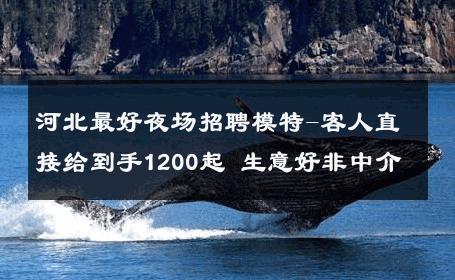 河北最好夜场招聘模特-客人直接给到手1200起 生意好非中介