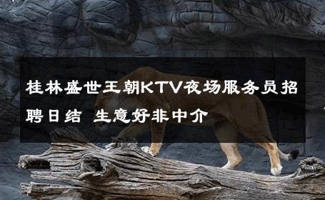 桂林盛世王朝KTV夜场服务员招聘日结 生意好非中介