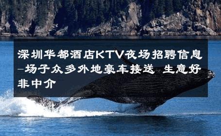 深圳华都酒店KTV夜场招聘信息-场子众多外地豪车接送 生意好非中介