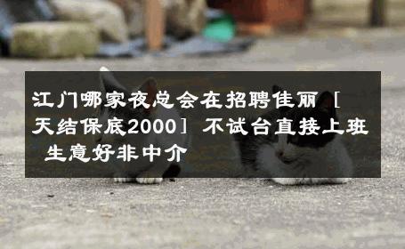 江门哪家夜总会在招聘佳丽［天结保底2000］不试台直接上班 生意好非中介