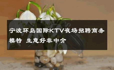宁波环岛国际KTV夜场招聘商务模特 生意好非中介