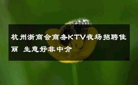 杭州浙商会商务KTV夜场招聘佳丽 生意好非中介