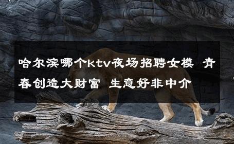 哈尔滨哪个ktv夜场招聘女模-青春创造大财富 生意好非中介