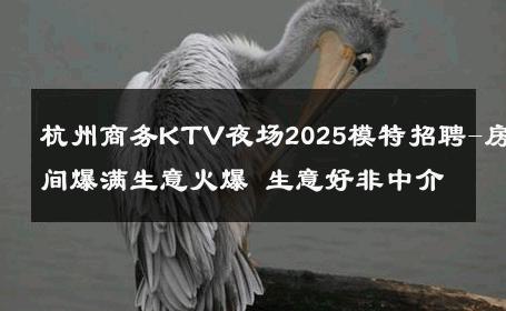 杭州商务KTV夜场2025模特招聘-房间爆满生意火爆 生意好非中介