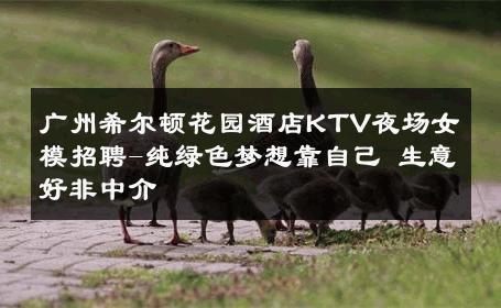 广州希尔顿花园酒店KTV夜场女模招聘-纯绿色梦想靠自己 生意好非中介