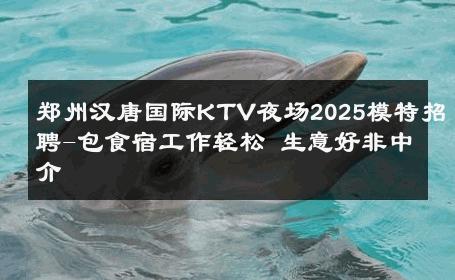 郑州汉唐国际KTV夜场2025模特招聘-包食宿工作轻松 生意好非中介