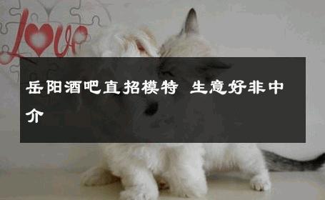 岳阳酒吧直招模特 生意好非中介