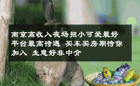 南京高收入夜场招小可爱最好平台最高待遇 买车买房期待你加入 生意好非中介