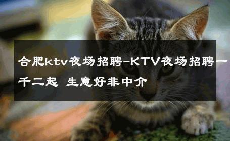 合肥ktv夜场招聘-KTV夜场招聘一千二起 生意好非中介