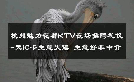 杭州魅力花都KTV夜场招聘礼仪-无IC卡生意火爆 生意好非中介