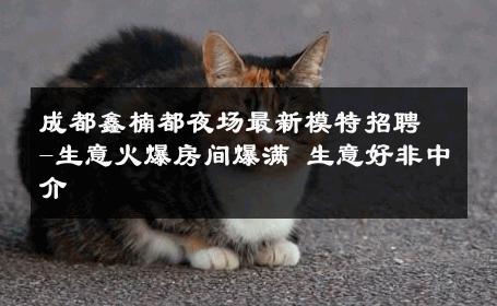 成都鑫楠都夜场最新模特招聘-生意火爆房间爆满 生意好非中介