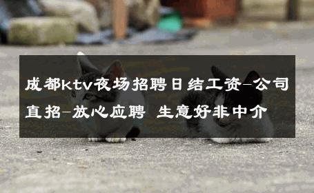 成都ktv夜场招聘日结工资-公司直招-放心应聘 生意好非中介