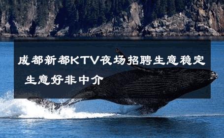 成都新都KTV夜场招聘生意稳定 生意好非中介