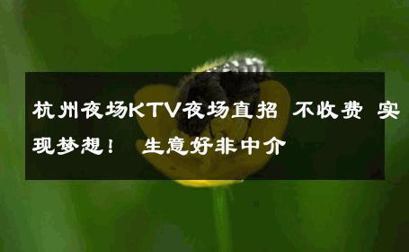杭州夜场KTV夜场直招 不收费 实现梦想！ 生意好非中介