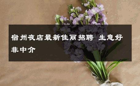 宿州夜店最新佳丽招聘 生意好非中介