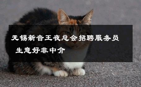 无锡新音王夜总会招聘服务员 生意好非中介