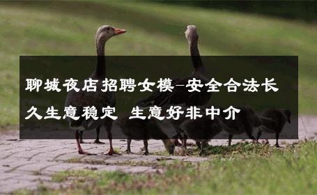聊城夜店招聘女模-安全合法长久生意稳定 生意好非中介