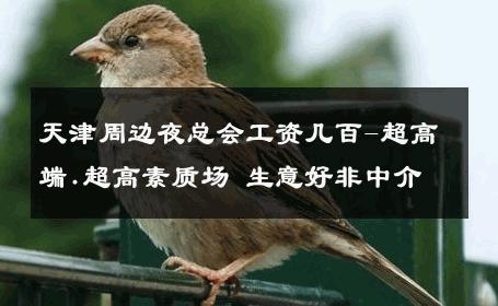 天津周边夜总会工资几百-超高端.超高素质场 生意好非中介