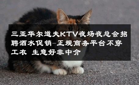三亚华尔道夫KTV夜场夜总会招聘酒水促销-正规商务平台不穿工衣 生意好非中介