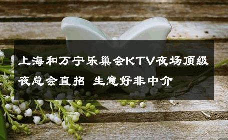 上海和万宁乐巢会KTV夜场顶级夜总会直招 生意好非中介